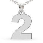 Single Digit High Polished Number Charm or  Pendant