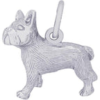 French Bulldog Charm