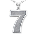 Single Number Pendant or Charm
