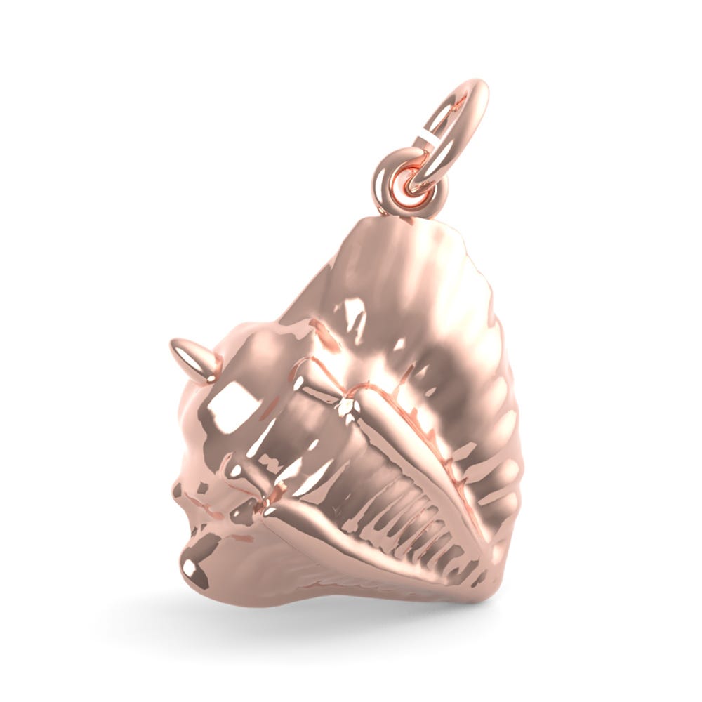 Conch Shell