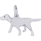 Dog Retriever