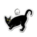 Cat - Black Charm
