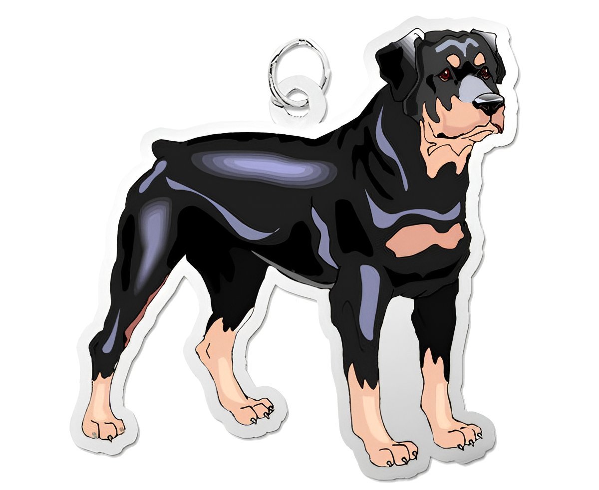 Dog - Rottweiller Charm