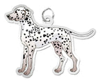 Dog - Dalmation Charm