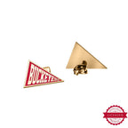 Pair of Color Enamel Buckeyes Flag Earrings