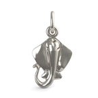 Sting Ray Charm