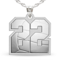 Color Enameled Volleyball Number Charm or Pendant with 2 Digits