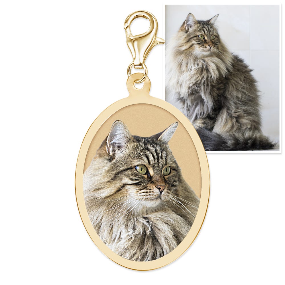 Petite Oval Border Photo Charm for Bracelet