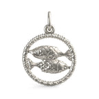 Pisces Fish Charm