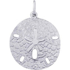 Sand Dollar