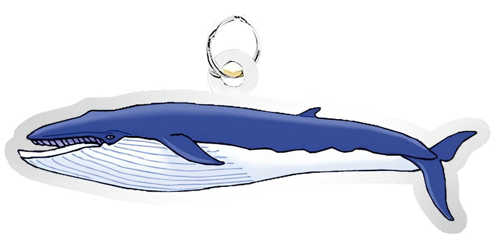 Whale - Blue Charm