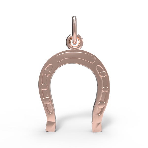Horseshoe Charm