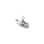 Ferret Charm