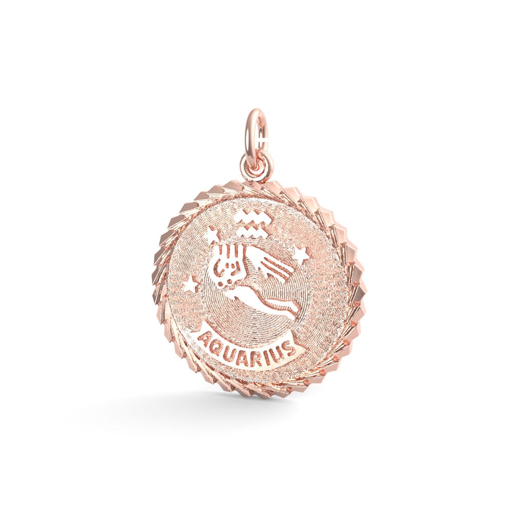 Aquarius Constellation Disc Charm(4651)