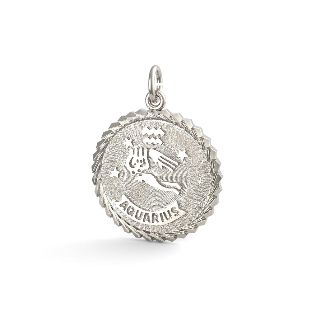Aquarius Constellation Disc Charm(4651)