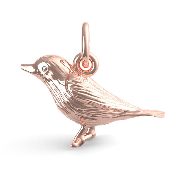 Robin Bird Charm
