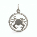 Cancer Crab Charm(4776)