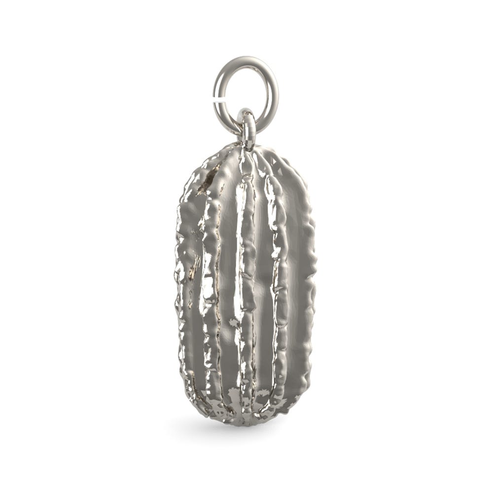 Pickle Charm
