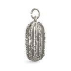 Pickle Charm