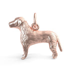 Labrador Retriever Dog