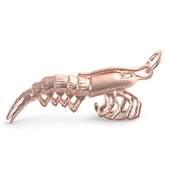 Shrimp Charm
