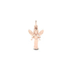 Fairy Charm