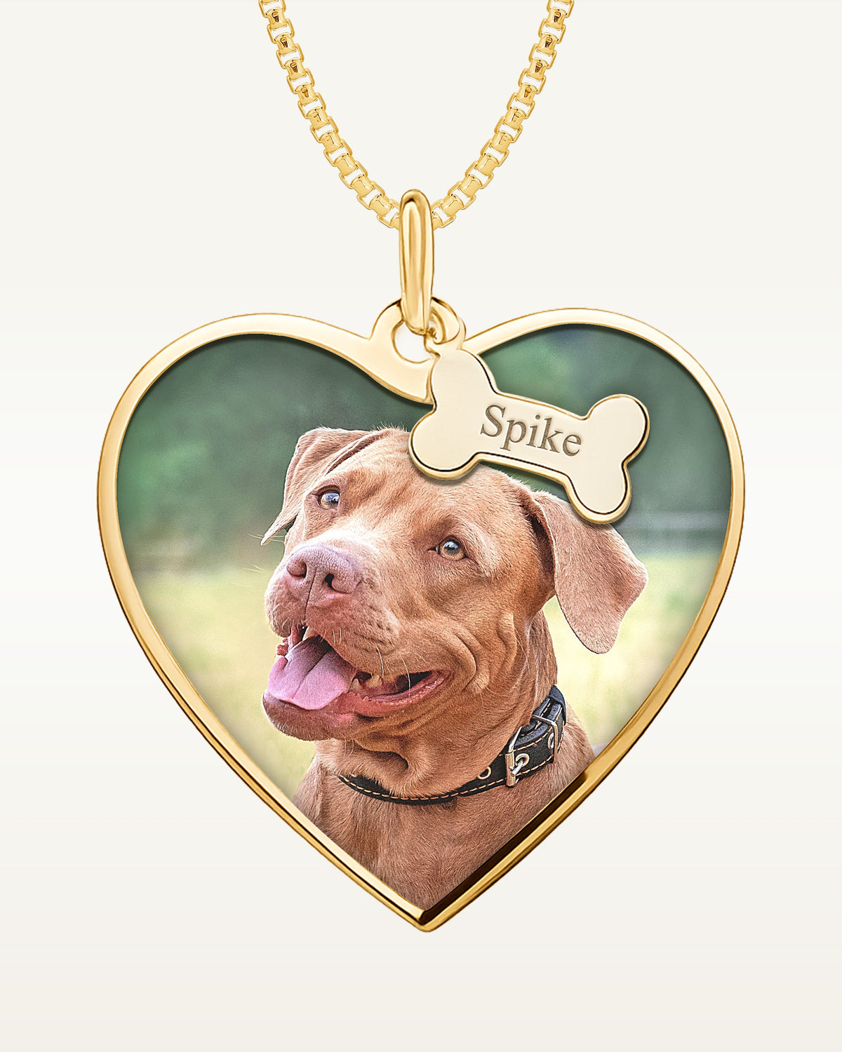Heart Photo Necklace with Personalized Dog Bone Tags — verified yellow metal product photograph