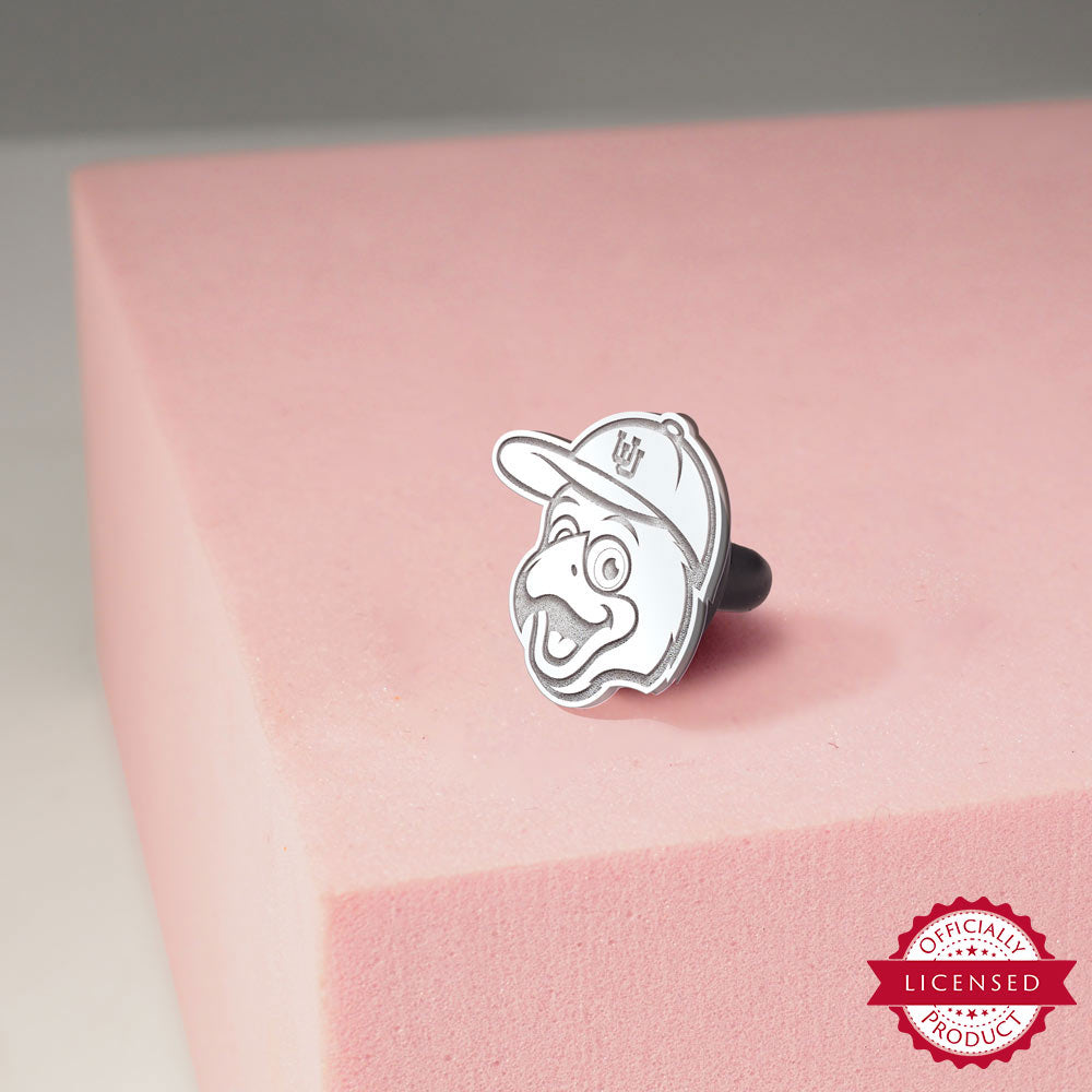 PicturesOnGold product photograph