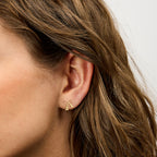 PicturesOnGold product photograph