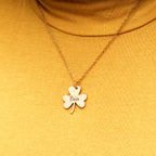 PicturesOnGold product photograph