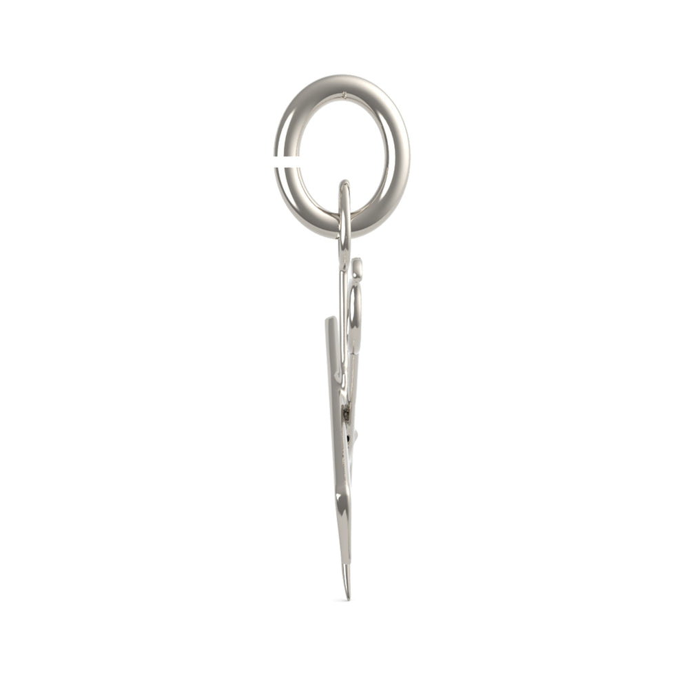 PicturesOnGold product photograph