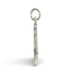PicturesOnGold product photograph