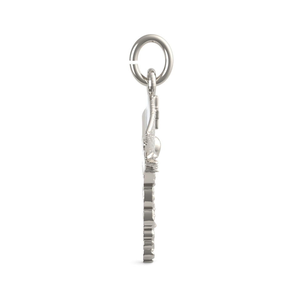 PicturesOnGold product photograph