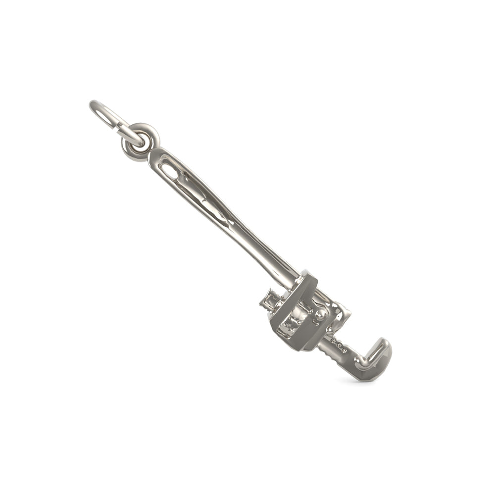 PicturesOnGold product photograph