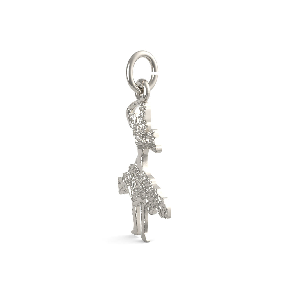 PicturesOnGold product photograph