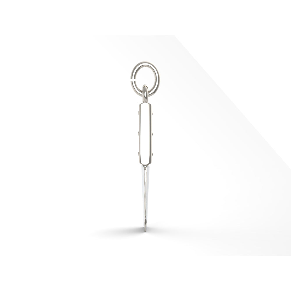 PicturesOnGold product photograph