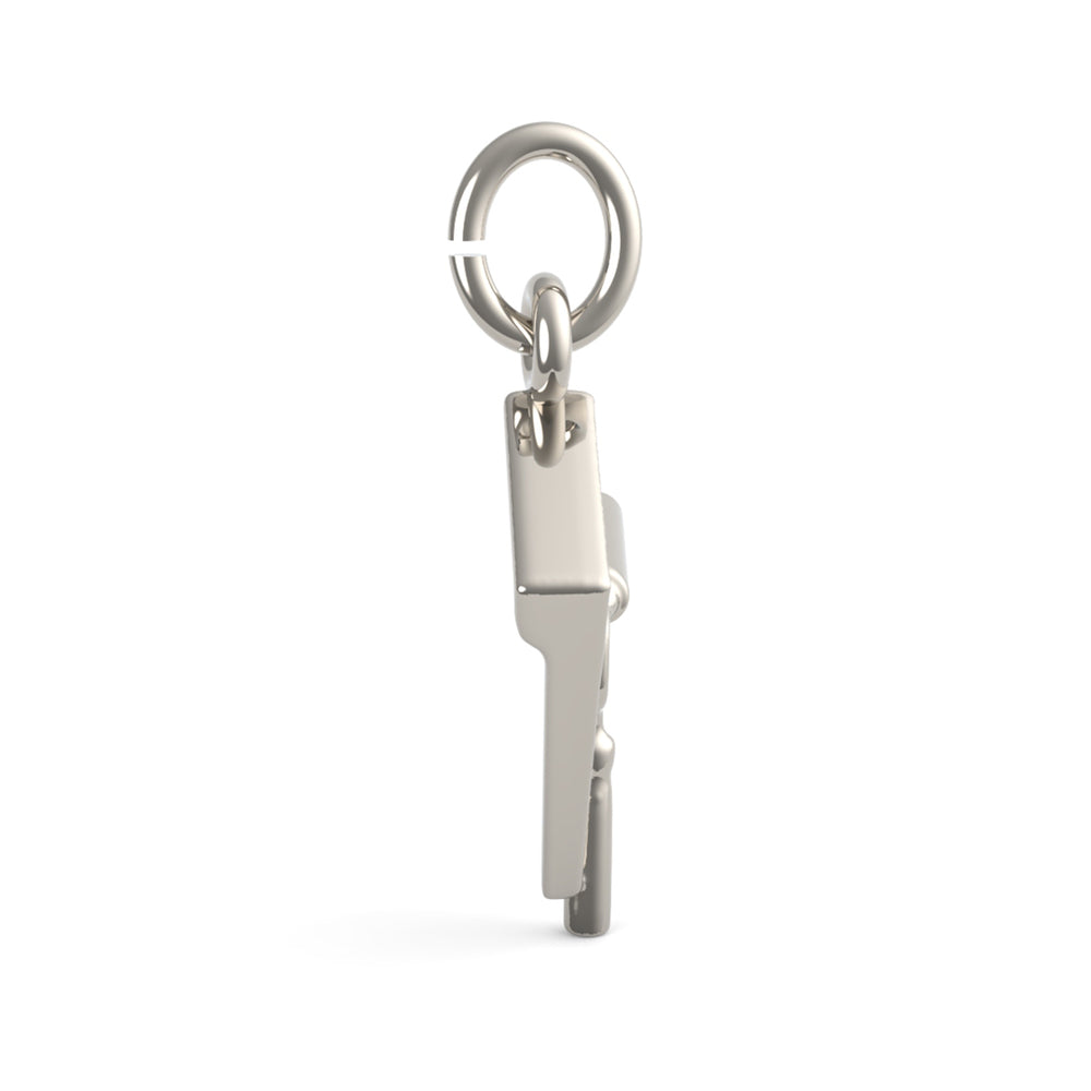 PicturesOnGold product photograph