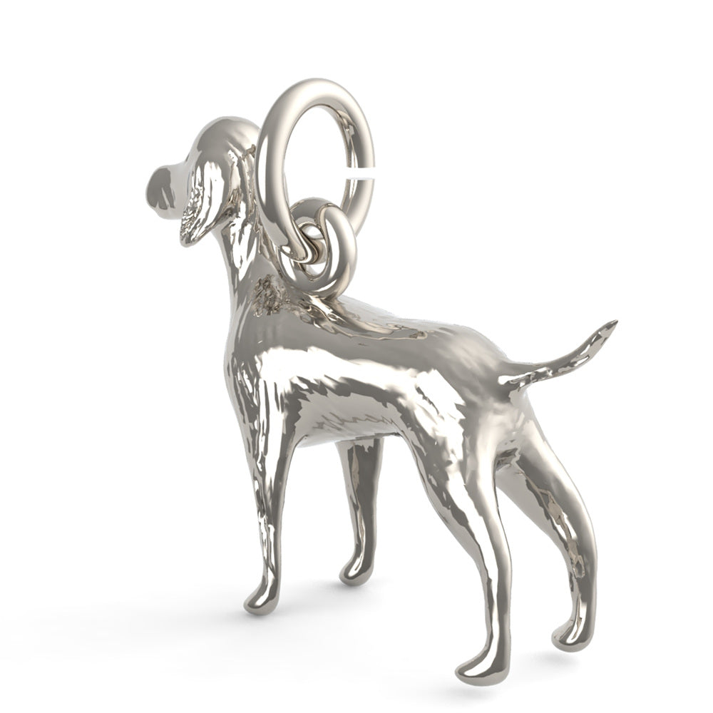 PicturesOnGold product photograph