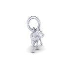 PicturesOnGold product photograph