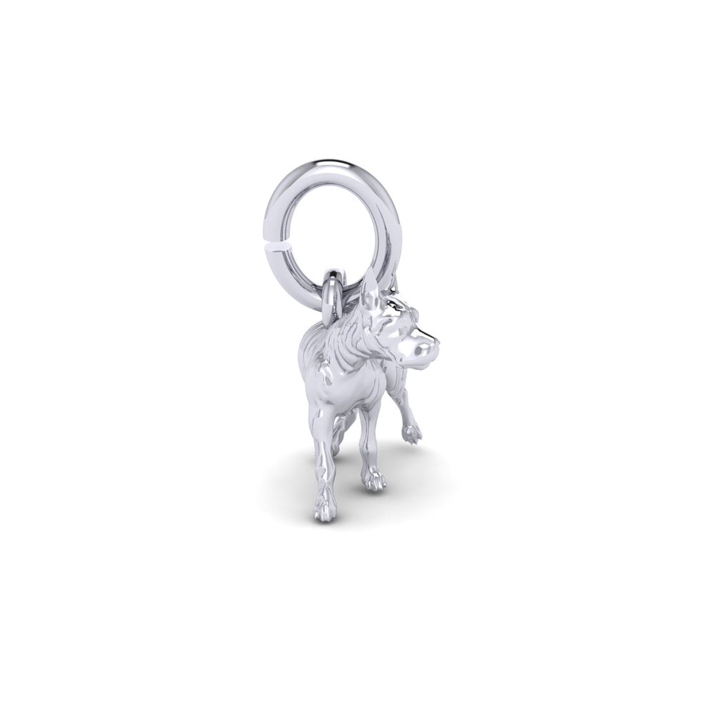 PicturesOnGold product photograph