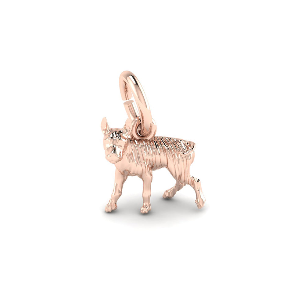 PicturesOnGold product photograph