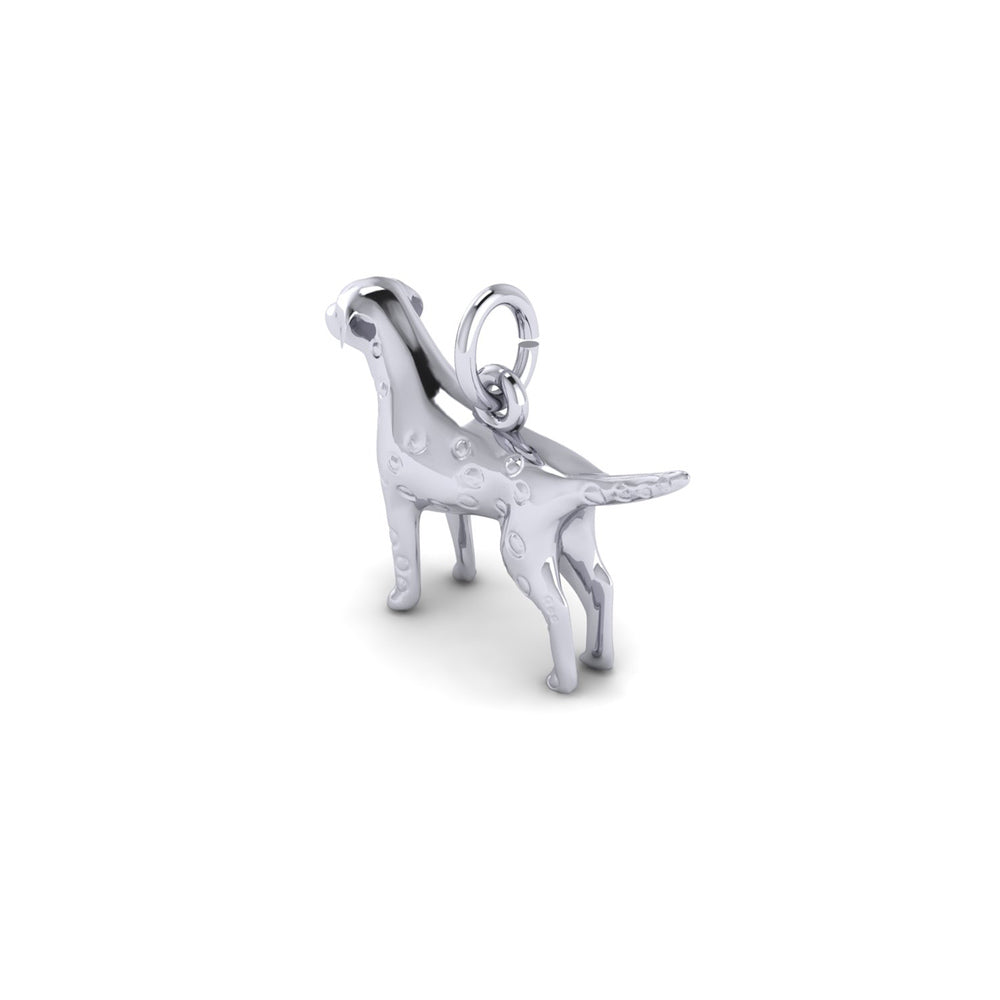PicturesOnGold product photograph