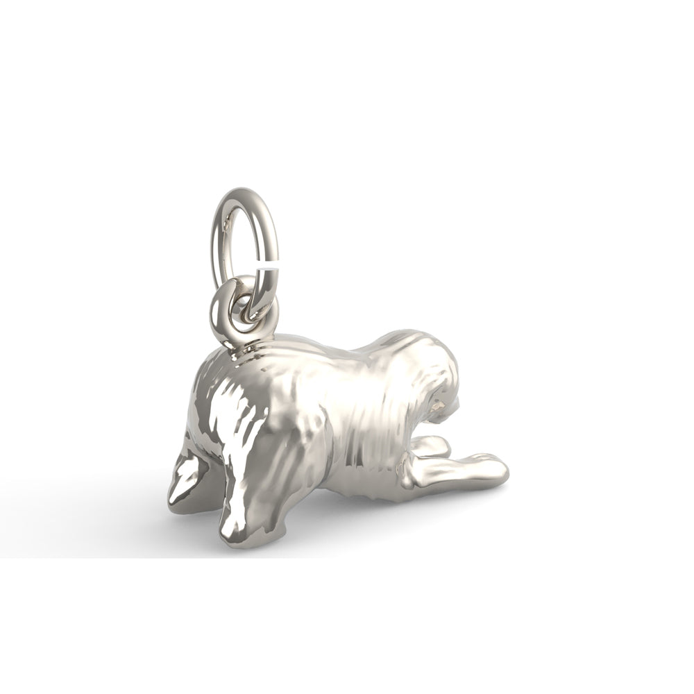 PicturesOnGold product photograph