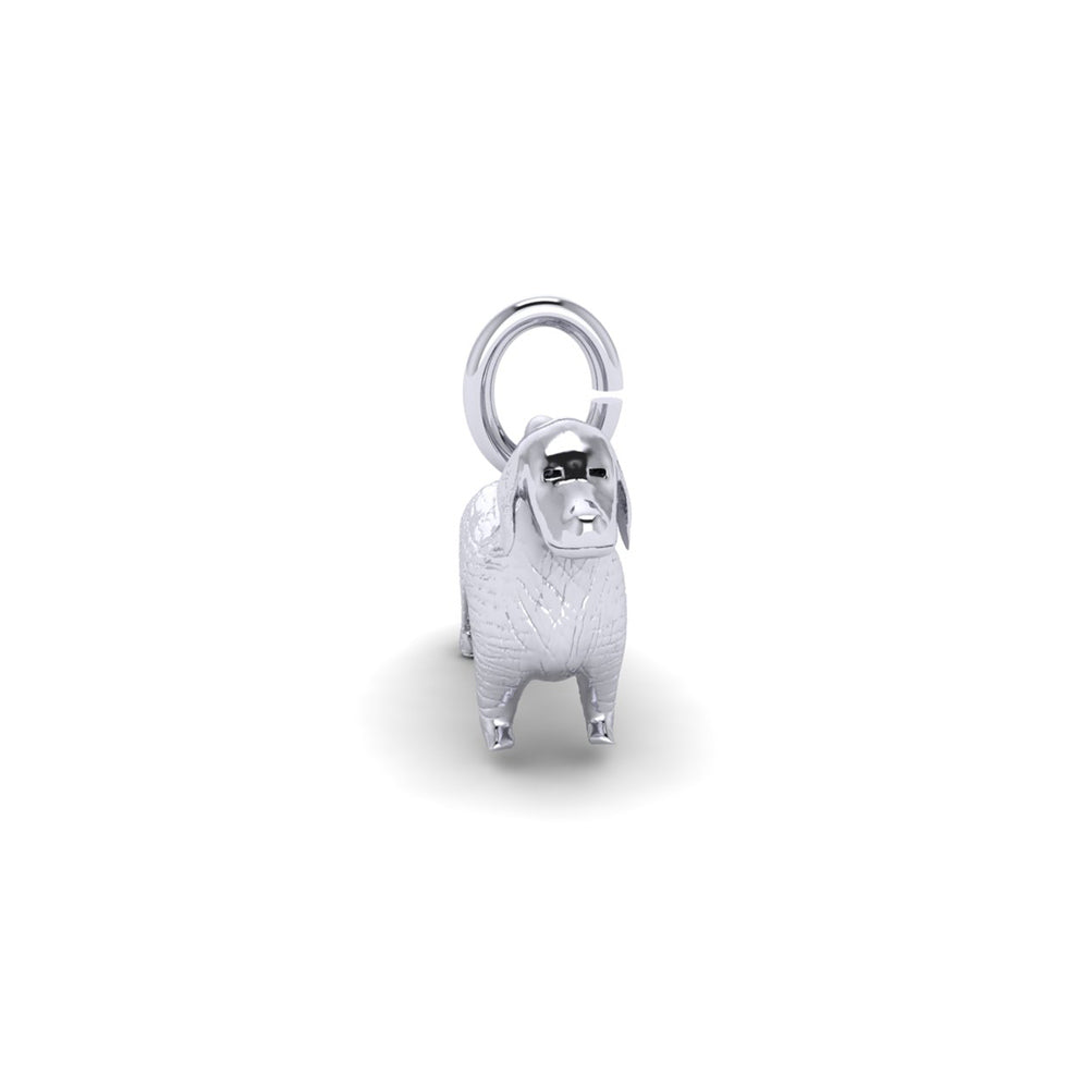 PicturesOnGold product photograph