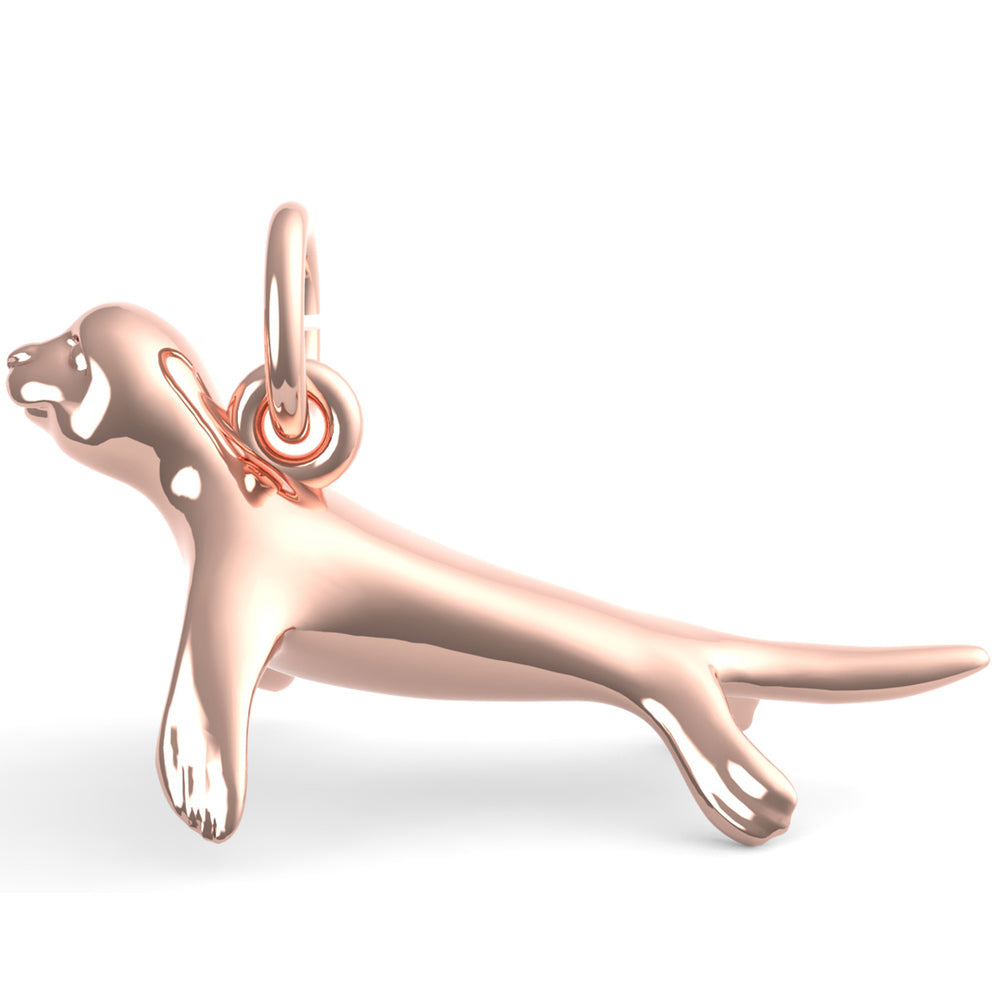 PicturesOnGold product photograph