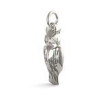PicturesOnGold product photograph