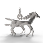 PicturesOnGold product photograph