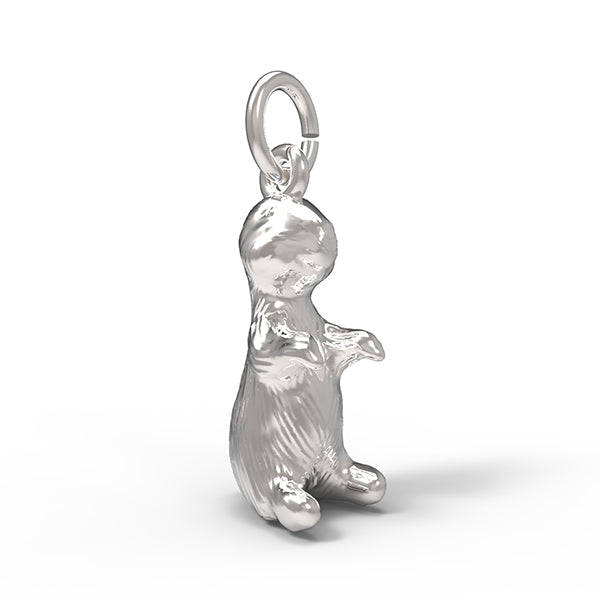 PicturesOnGold product photograph