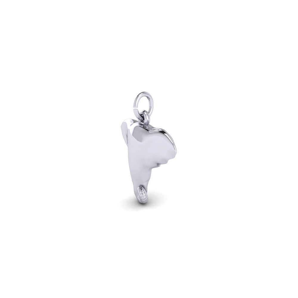 PicturesOnGold product photograph