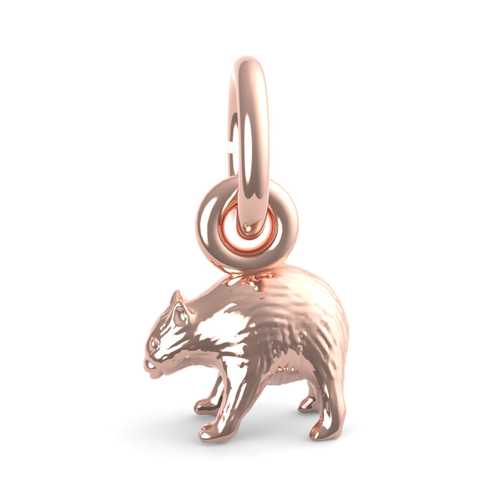 PicturesOnGold product photograph
